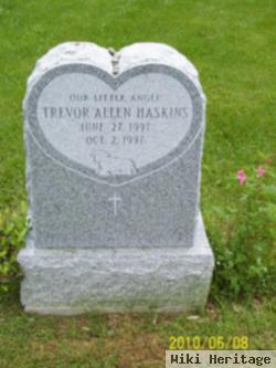 Trevor Allen Haskins