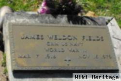 James Weldon Fields