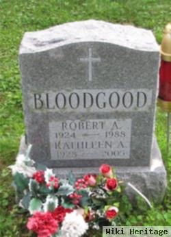 Robert A Bloodgood