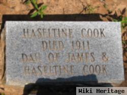 Haseltine Cook