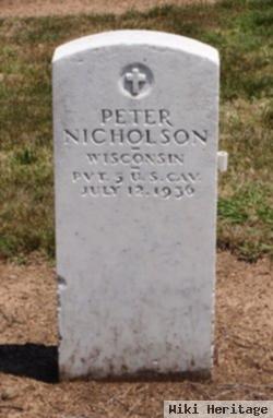 Peter J Nicholson