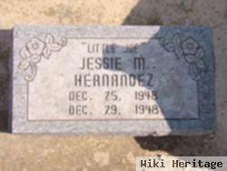 Jessie M. Hernandez