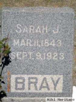 Sarah Jane Dodge Bray