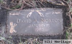 David A. Norton