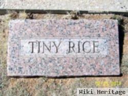 Tiny Rice