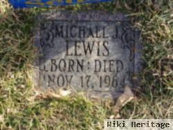 Michael J Lewis