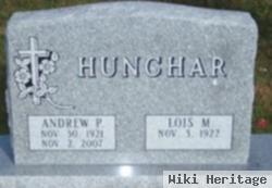 Andrew P Hunchar