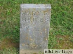 Mary Dayvolt Briles