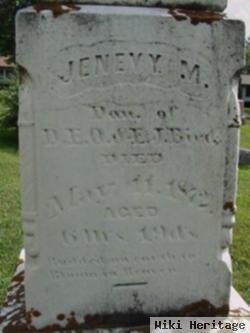 Jenevy M. Bird