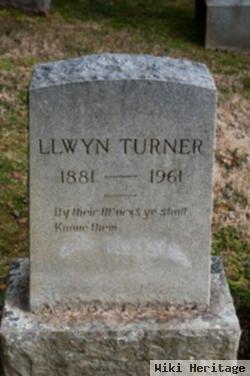 Llwyn Turner