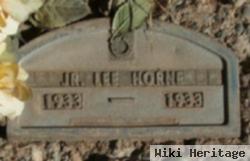 Lee Horne, Jr