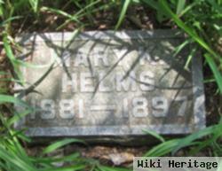 Mary K. Helms