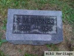 S. M. Barnes