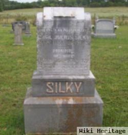 Carl Julius Silky