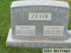 Peter Zehr