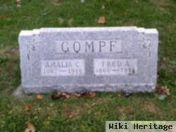 Amalia C Gompf