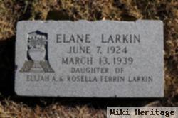 Elane Larkin