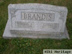 Esther K. Frank Brandis