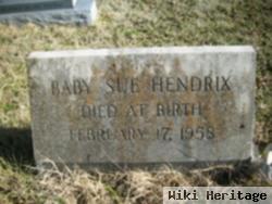 Sue Hendrix