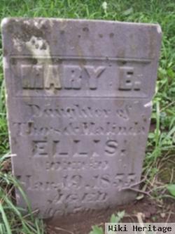 Mary E. Ellis