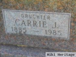 Carrie J Shriner