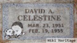 David A Celestine