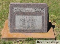 G P "roy" Goldsberry