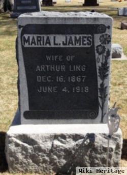 Maria L. James Ling