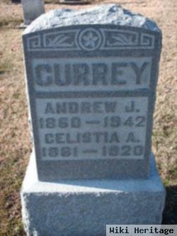 Andrew J Currey