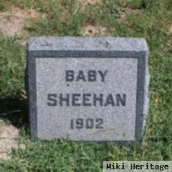 Baby Sheehan