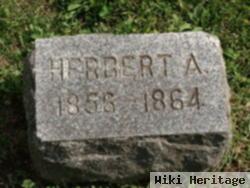 Herbert A Wood