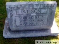 Sophronia A. Wilson