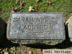 Sarah Dow