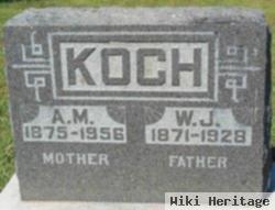 A M Koch