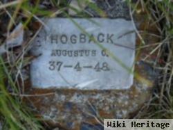 Augustus C Hogback