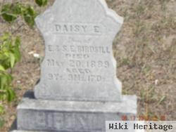 Daisy E. Birdsill