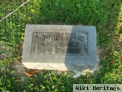 Minnie L. Harner Land