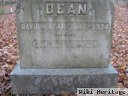 David M. Bean