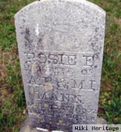 Rosie E. Mann