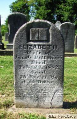 Elizabeth Dellinger