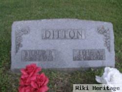 Effie A Rogers Ditton