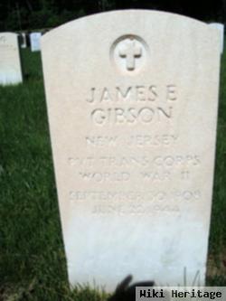 James E Gibson