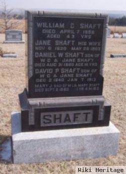 David P. Shaft