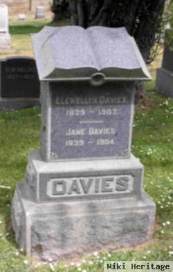 Llewellyn Davies