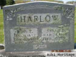 John P Harlow