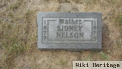 Sidney Hegwood Nelson