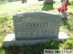 Herbert Eugene Curnutt