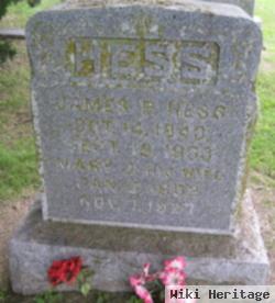 James P. Hess