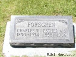 Charles William Forsgren