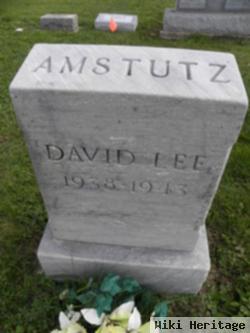 David Lee Amstutz